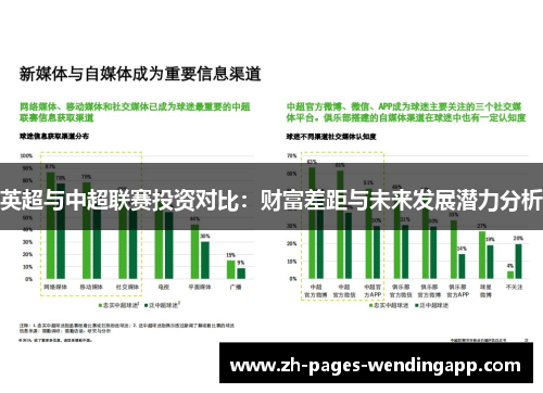 英超与中超联赛投资对比：财富差距与未来发展潜力分析
