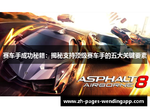 赛车手成功秘籍：揭秘支持顶级赛车手的五大关键要素