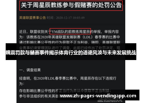 魏震罚款与禁赛事件揭示体育行业的道德风波与未来发展挑战