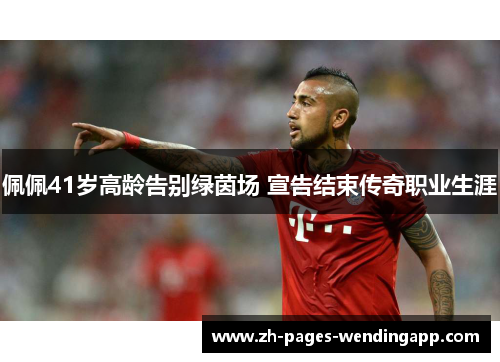 佩佩41岁高龄告别绿茵场 宣告结束传奇职业生涯 佩佩41岁高龄告别绿茵场 宣告结束传奇职业生涯