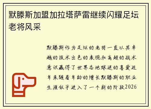 默滕斯加盟加拉塔萨雷继续闪耀足坛老将风采 默滕斯加盟加拉塔萨雷继续闪耀足坛老将风采